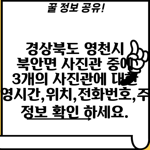 경상북도 영천시 북안면 사진관 중에 3개의 사진관에 대한 운영시간,위치,전화번호,주소 정보 확인 하세요.
