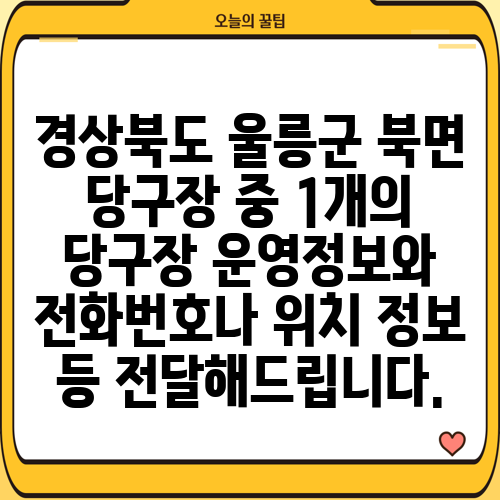 경상북도 울릉군 북면 당구장 중 1개의 당구장 운영정보와 전화번호나 위치 정보 등 전달해드립니다.
