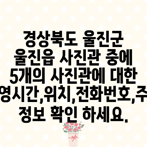 경상북도 울진군 울진읍 사진관 중에 5개의 사진관에 대한 운영시간,위치,전화번호,주소 정보 확인 하세요.