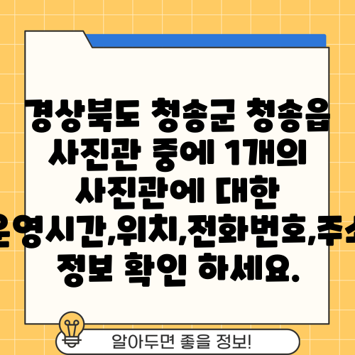 경상북도 청송군 청송읍 사진관 중에 1개의 사진관에 대한 운영시간,위치,전화번호,주소 정보 확인 하세요.