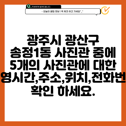 광주시 광산구 송정1동 사진관 중에 5개의 사진관에 대한 운영시간,주소,위치,전화번호 확인 하세요.