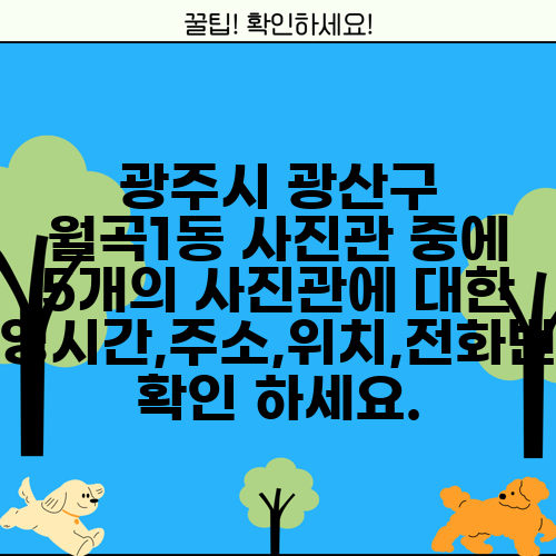 광주시 광산구 월곡1동 사진관 중에 5개의 사진관에 대한 운영시간,주소,위치,전화번호 확인 하세요.