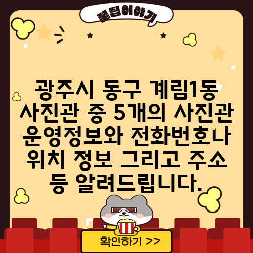 광주시 동구 계림1동 사진관 중 5개의 사진관 운영정보와 전화번호나 위치 정보 그리고 주소 등 알려드립니다.