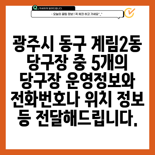 광주시 동구 계림2동 당구장 중 5개의 당구장 운영정보와 전화번호나 위치 정보 등 전달해드립니다.