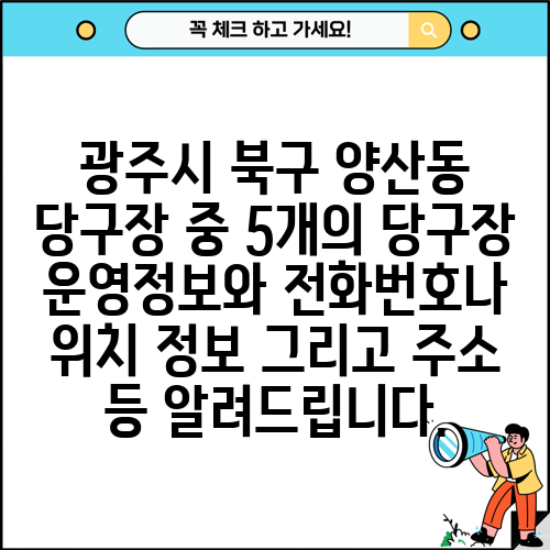 광주시 북구 양산동 당구장 중 5개의 당구장 운영정보와 전화번호나 위치 정보 그리고 주소 등 알려드립니다.
