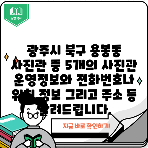 광주시 북구 용봉동 사진관 중 5개의 사진관 운영정보와 전화번호나 위치 정보 그리고 주소 등 알려드립니다.