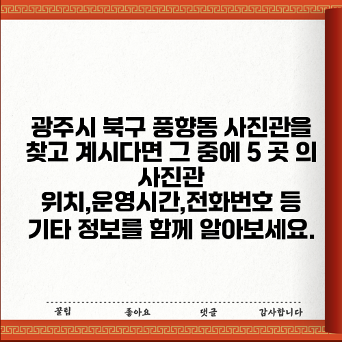 광주시 북구 풍향동 사진관을 찾고 계시다면 그 중에 5 곳 의 사진관 위치,운영시간,전화번호 등 기타 정보를 함께 알아보세요.