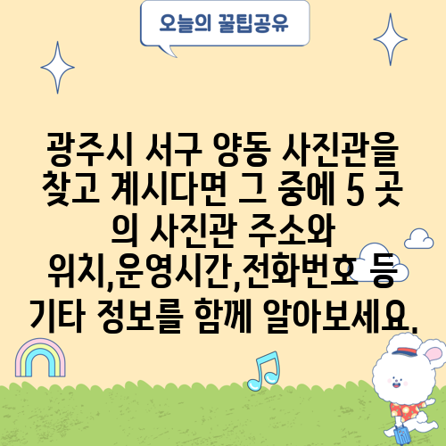 광주시 서구 양동 사진관을 찾고 계시다면 그 중에 5 곳 의 사진관 주소와 위치,운영시간,전화번호 등 기타 정보를 함께 알아보세요.