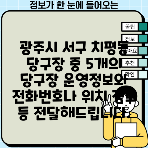 광주시 서구 치평동 당구장 중 5개의 당구장 운영정보와 전화번호나 위치 정보 등 전달해드립니다.