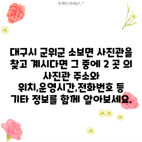대구시 군위군 소보면 사진관을 찾고 계시다면 그 중에 2 곳 의 사진관 주소와 위치,운영시간,전화번호 등 기타 정보를 함께 알아보세요.