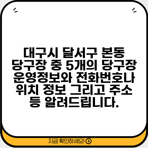 대구시 달서구 본동 당구장 중 5개의 당구장 운영정보와 전화번호나 위치 정보 그리고 주소 등 알려드립니다.