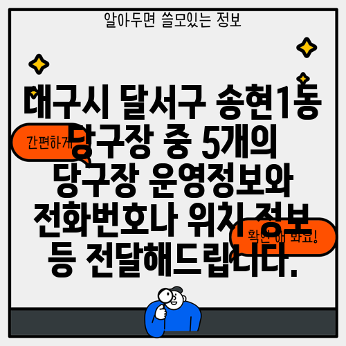 대구시 달서구 송현1동 당구장 중 5개의 당구장 운영정보와 전화번호나 위치 정보 등 전달해드립니다.