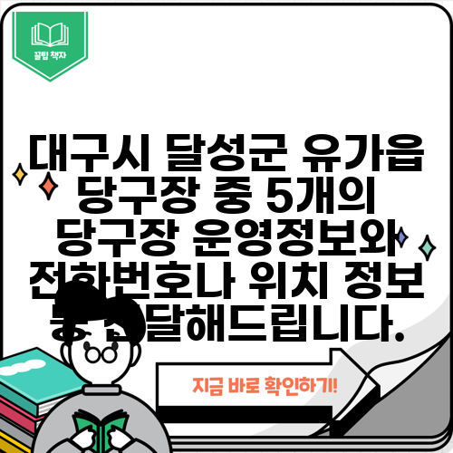 대구시 달성군 유가읍 당구장 중 5개의 당구장 운영정보와 전화번호나 위치 정보 등 전달해드립니다.