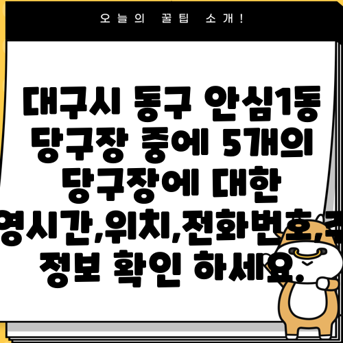 대구시 동구 안심1동 당구장 중에 5개의 당구장에 대한 운영시간,위치,전화번호,주소 정보 확인 하세요.