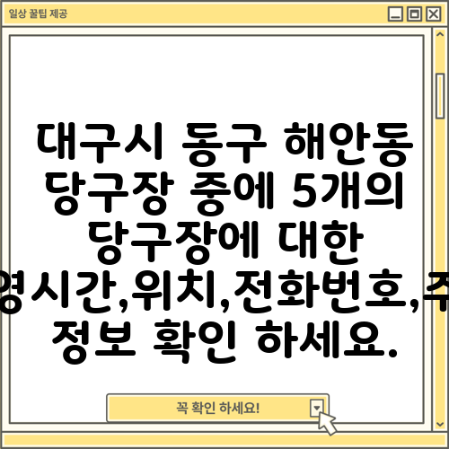 대구시 동구 해안동 당구장 중에 5개의 당구장에 대한 운영시간,위치,전화번호,주소 정보 확인 하세요.