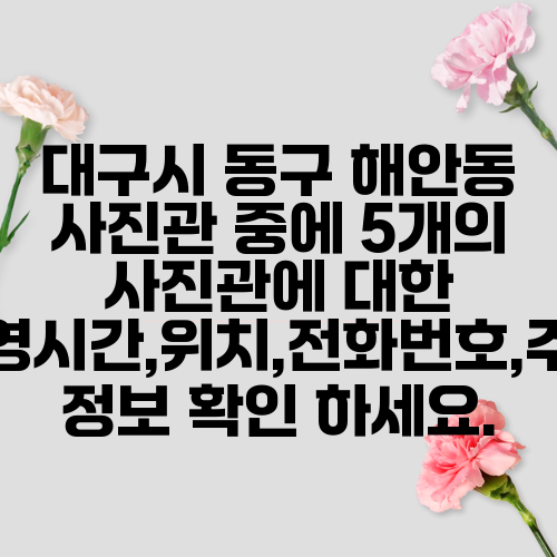 대구시 동구 해안동 사진관 중에 5개의 사진관에 대한 운영시간,위치,전화번호,주소 정보 확인 하세요.