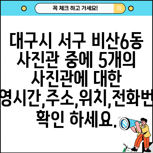 대구시 서구 비산6동 사진관 중에 5개의 사진관에 대한 운영시간,주소,위치,전화번호 확인 하세요.