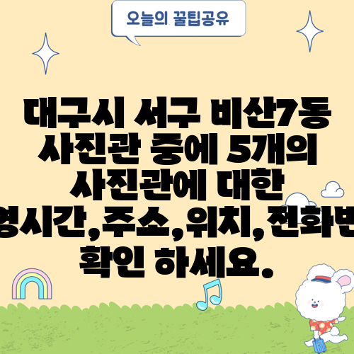 대구시 서구 비산7동 사진관 중에 5개의 사진관에 대한 운영시간,주소,위치,전화번호 확인 하세요.