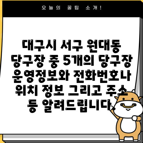 대구시 서구 원대동 당구장 중 5개의 당구장 운영정보와 전화번호나 위치 정보 그리고 주소 등 알려드립니다.