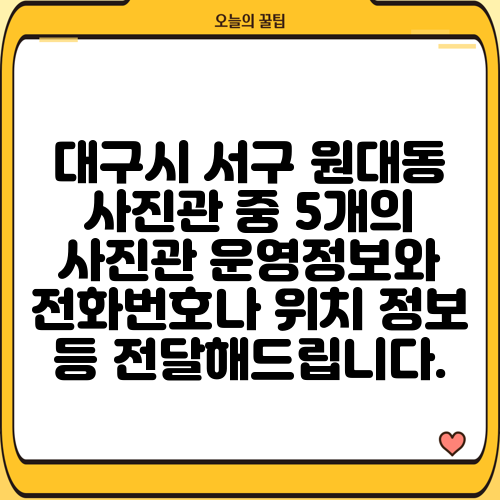 대구시 서구 원대동 사진관 중 5개의 사진관 운영정보와 전화번호나 위치 정보 등 전달해드립니다.