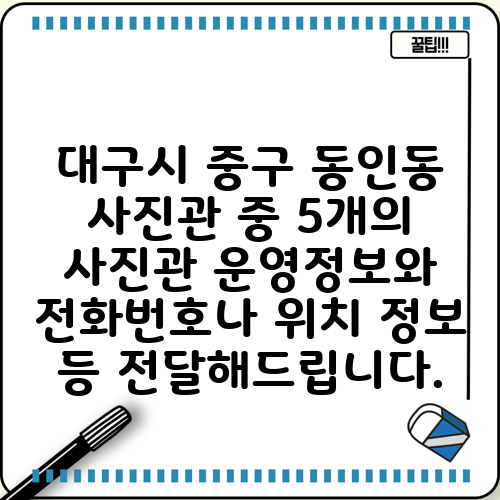 대구시 중구 동인동 사진관 중 5개의 사진관 운영정보와 전화번호나 위치 정보 등 전달해드립니다.