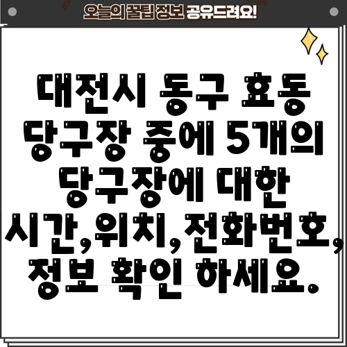 대전시 동구 효동 당구장 중에 5개의 당구장에 대한 운영시간,위치,전화번호,주소 정보 확인 하세요.