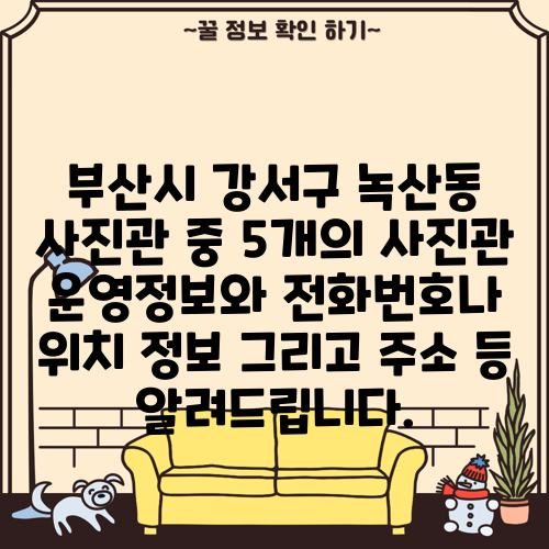 부산시 강서구 녹산동 사진관 중 5개의 사진관 운영정보와 전화번호나 위치 정보 그리고 주소 등 알려드립니다.