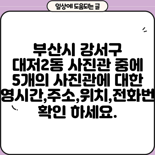 부산시 강서구 대저2동 사진관 중에 5개의 사진관에 대한 운영시간,주소,위치,전화번호 확인 하세요.