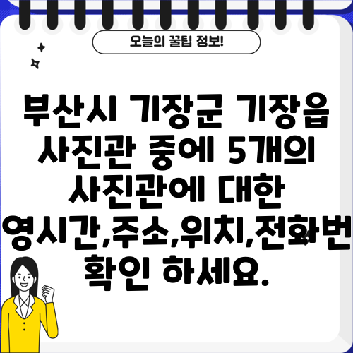 부산시 기장군 기장읍 사진관 중에 5개의 사진관에 대한 운영시간,주소,위치,전화번호 확인 하세요.