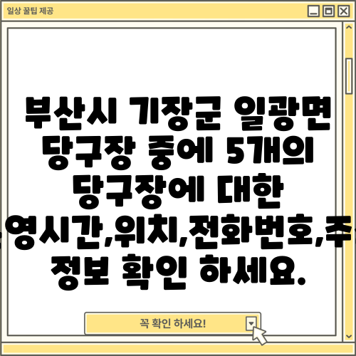 부산시 기장군 일광면 당구장 중에 5개의 당구장에 대한 운영시간,위치,전화번호,주소 정보 확인 하세요.