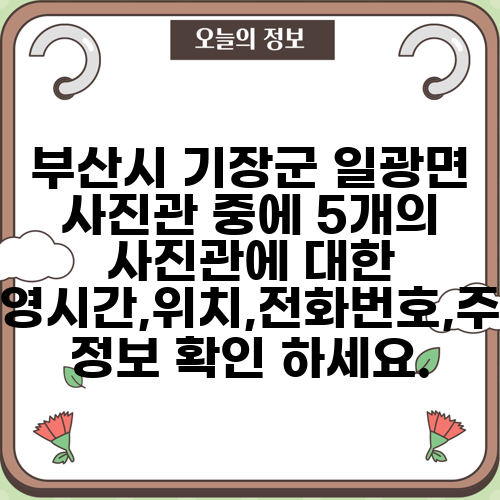 부산시 기장군 일광면 사진관 중에 5개의 사진관에 대한 운영시간,위치,전화번호,주소 정보 확인 하세요.