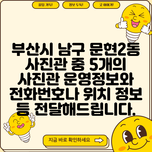 부산시 남구 문현2동 사진관 중 5개의 사진관 운영정보와 전화번호나 위치 정보 등 전달해드립니다.