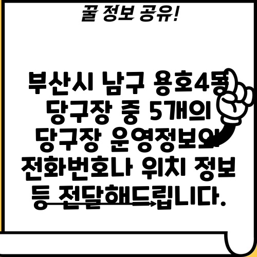 부산시 남구 용호4동 당구장 중 5개의 당구장 운영정보와 전화번호나 위치 정보 등 전달해드립니다.