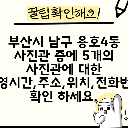 부산시 남구 용호4동 사진관 중에 5개의 사진관에 대한 운영시간,주소,위치,전화번호 확인 하세요.
