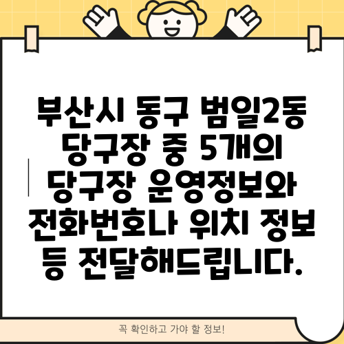 부산시 동구 범일2동 당구장 중 5개의 당구장 운영정보와 전화번호나 위치 정보 등 전달해드립니다.