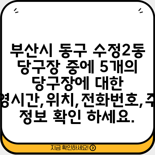 부산시 동구 수정2동 당구장 중에 5개의 당구장에 대한 운영시간,위치,전화번호,주소 정보 확인 하세요.