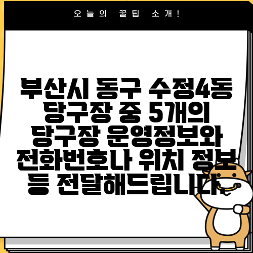 부산시 동구 수정4동 당구장 중 5개의 당구장 운영정보와 전화번호나 위치 정보 등 전달해드립니다.