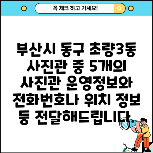 부산시 동구 초량3동 사진관 중 5개의 사진관 운영정보와 전화번호나 위치 정보 등 전달해드립니다.