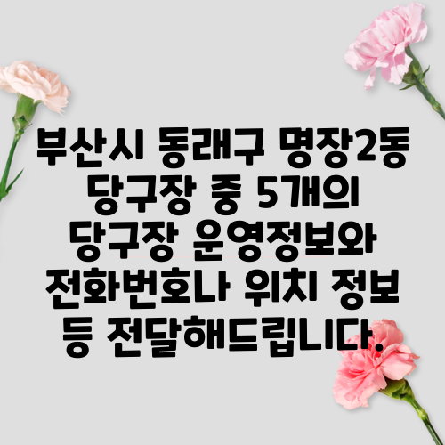 부산시 동래구 명장2동 당구장 중 5개의 당구장 운영정보와 전화번호나 위치 정보 등 전달해드립니다.