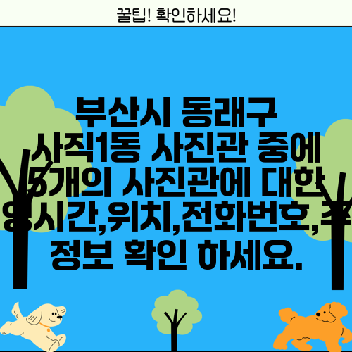 부산시 동래구 사직1동 사진관 중에 5개의 사진관에 대한 운영시간,위치,전화번호,주소 정보 확인 하세요.