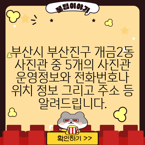 부산시 부산진구 개금2동 사진관 중 5개의 사진관 운영정보와 전화번호나 위치 정보 그리고 주소 등 알려드립니다.