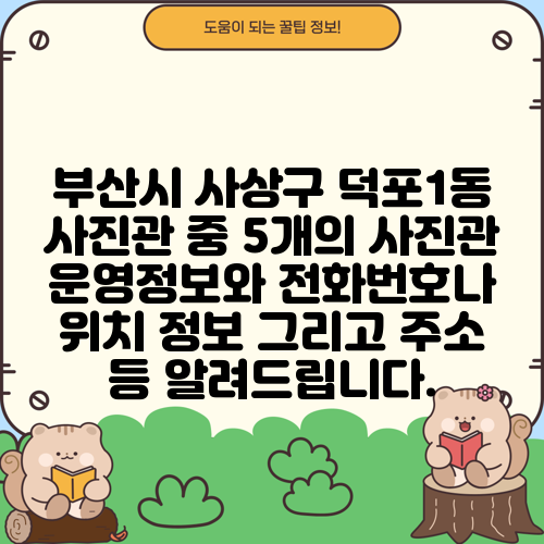 부산시 사상구 덕포1동 사진관 중 5개의 사진관 운영정보와 전화번호나 위치 정보 그리고 주소 등 알려드립니다.