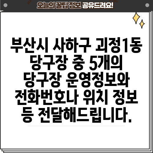 부산시 사하구 괴정1동 당구장 중 5개의 당구장 운영정보와 전화번호나 위치 정보 등 전달해드립니다.