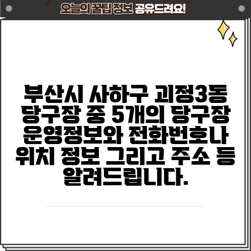 부산시 사하구 괴정3동 당구장 중 5개의 당구장 운영정보와 전화번호나 위치 정보 그리고 주소 등 알려드립니다.