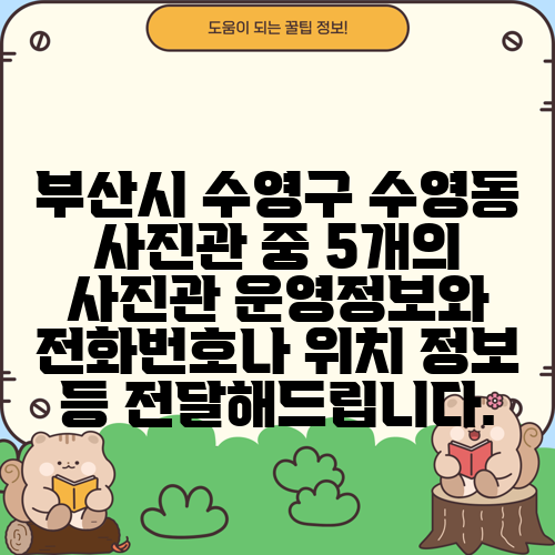 부산시 수영구 수영동 사진관 중 5개의 사진관 운영정보와 전화번호나 위치 정보 등 전달해드립니다.
