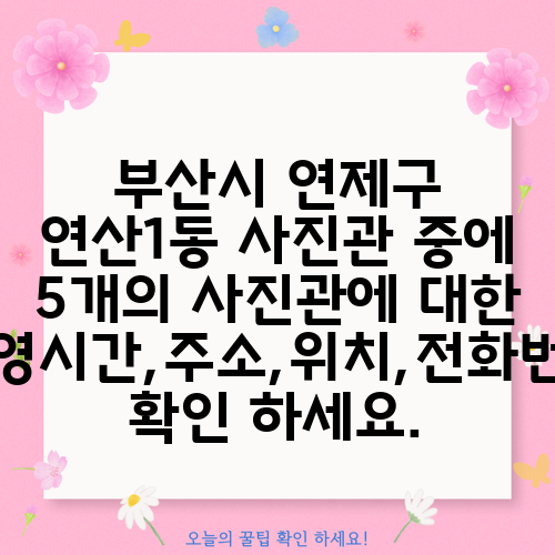 부산시 연제구 연산1동 사진관 중에 5개의 사진관에 대한 운영시간,주소,위치,전화번호 확인 하세요.