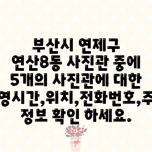 부산시 연제구 연산8동 사진관 중에 5개의 사진관에 대한 운영시간,위치,전화번호,주소 정보 확인 하세요.