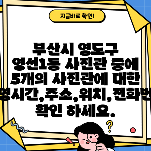 부산시 영도구 영선1동 사진관 중에 5개의 사진관에 대한 운영시간,주소,위치,전화번호 확인 하세요.