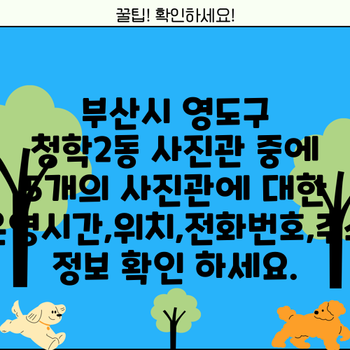 부산시 영도구 청학2동 사진관 중에 5개의 사진관에 대한 운영시간,위치,전화번호,주소 정보 확인 하세요.