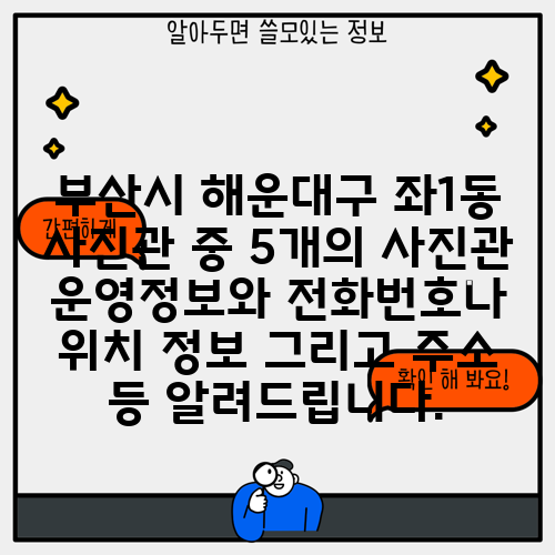 부산시 해운대구 좌1동 사진관 중 5개의 사진관 운영정보와 전화번호나 위치 정보 그리고 주소 등 알려드립니다.